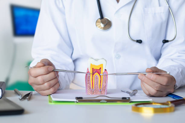 Best After-Hours Emergency Dentist in Clarksville, IA